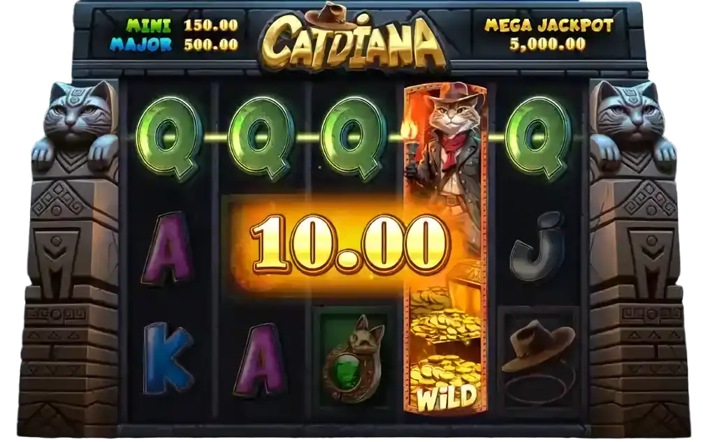 Slot machine with wild character symbol and winning combination